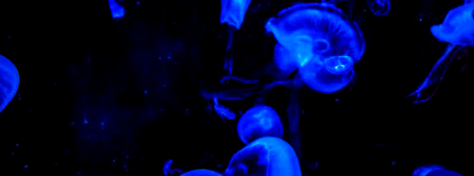 Exemples concrets d'utilisation - Création d'un site e-commerce